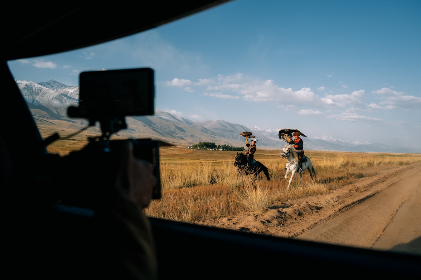 A photographer crouching to photograph a dog in an outdoor setting